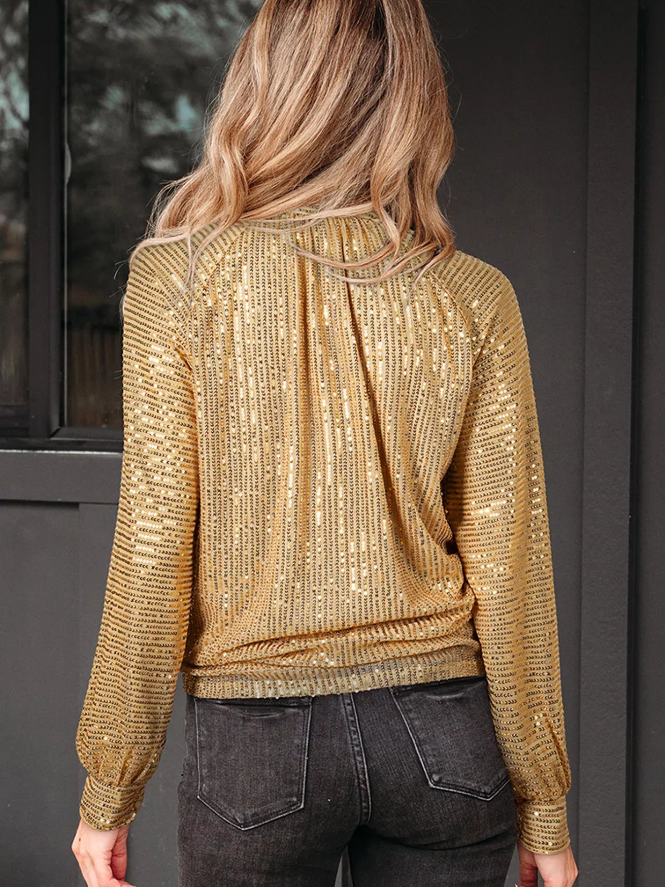 Trendsi Metallic Balloon Sleeve Buttoned High Neck Loose Blouse